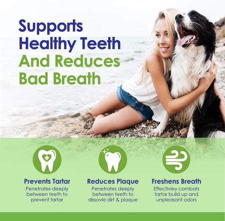 Powder For Teeth