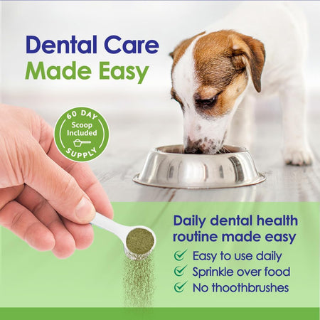 Dog Teeth Cleaning Powder