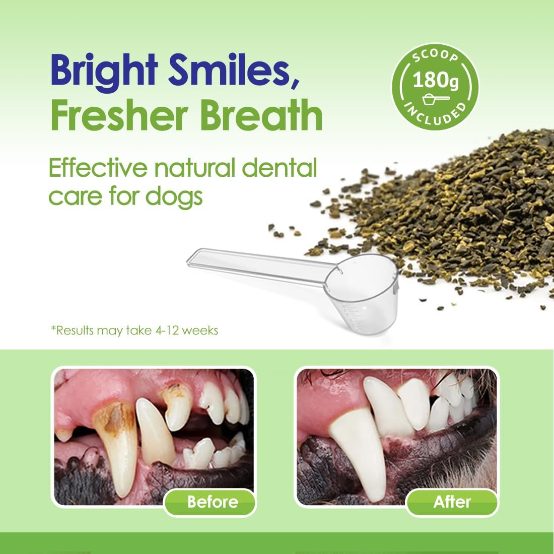 Best Dental Powder For Dogs