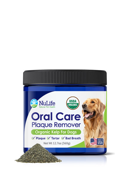 dental powder for dogs