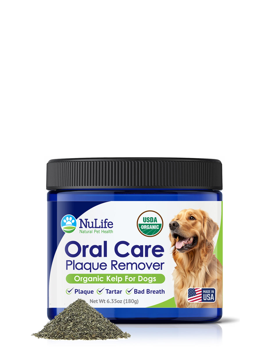 Dental Powder For Dogs - USDA Organic Sea Kelp - 6oz