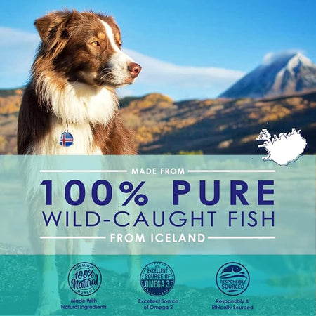 Omega 3 Fish Oil For Dogs