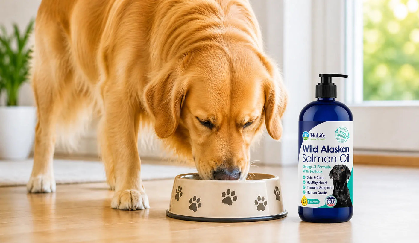 Salmon oil for dogs — wild Alaskan salmon oil pump bottle with healthy dog
