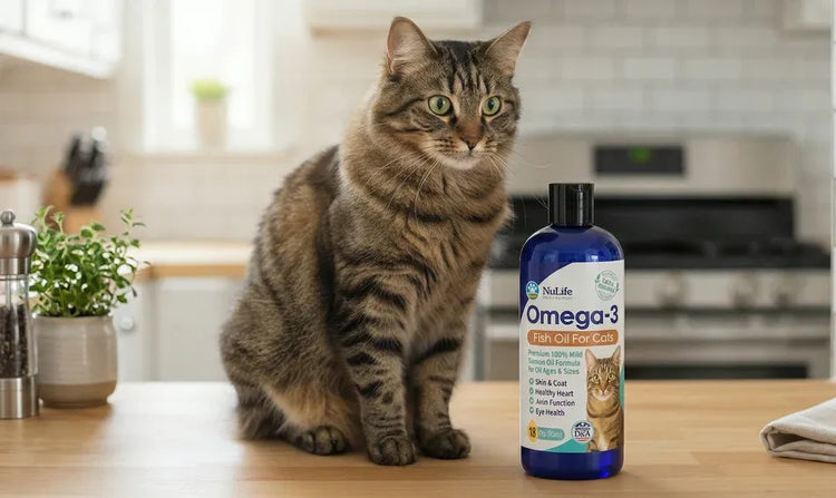 Salmon oil for cats — wild Alaskan salmon oil supplement for healthy skin coat and joints