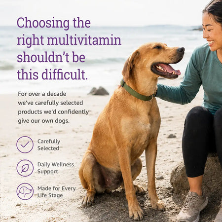 Dog and owner together, highlighting NuLife Complete Multivitamin for everyday wellness support.
