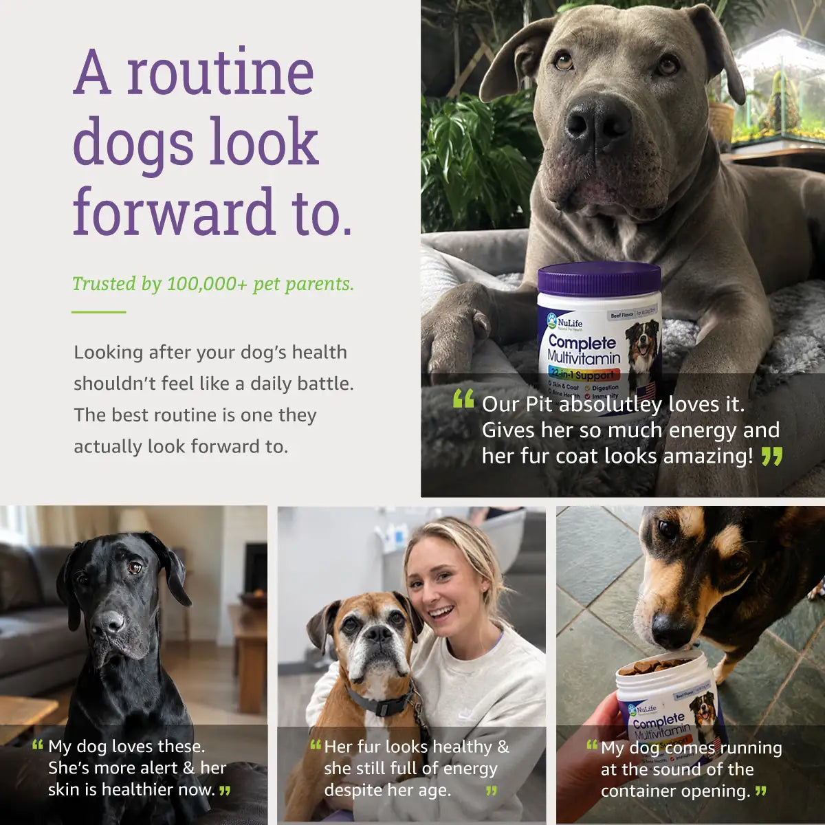 Real dogs and owners sharing their experiences with NuLife Complete Multivitamin.