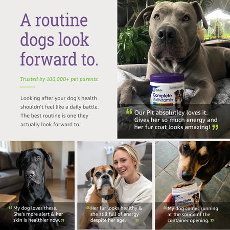 Real dogs and owners sharing their experiences with NuLife Complete Multivitamin.