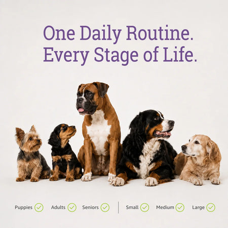 NuLife Complete Multivitamin for puppies, adults and senior dogs of all sizes.