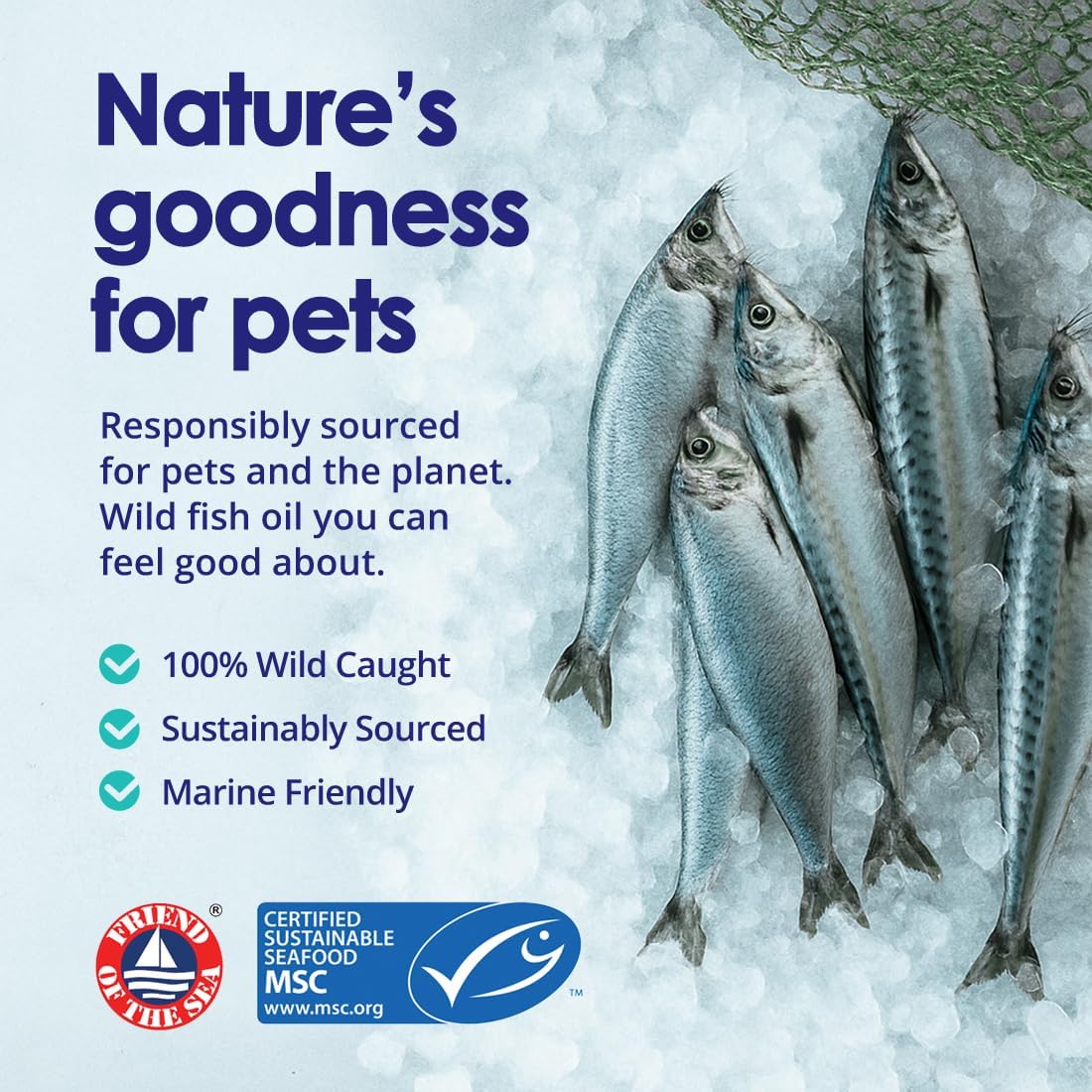 Wild-caught mackerel and sardines used in NuLife's sustainably sourced fish oil for pets