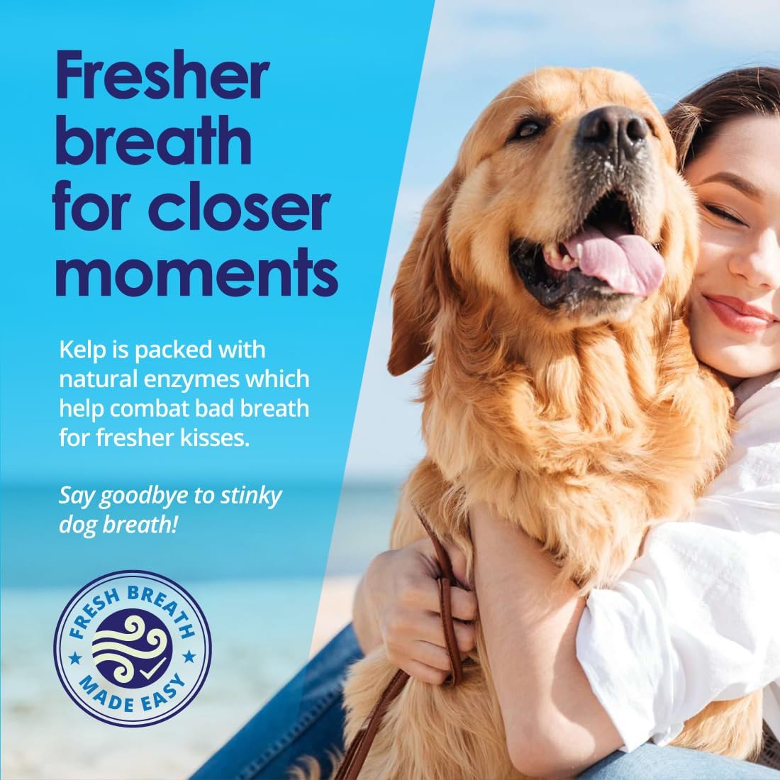 Before and After Dog Teeth Cleaning Sea Kelp Dental Powder 12oz - NuLife