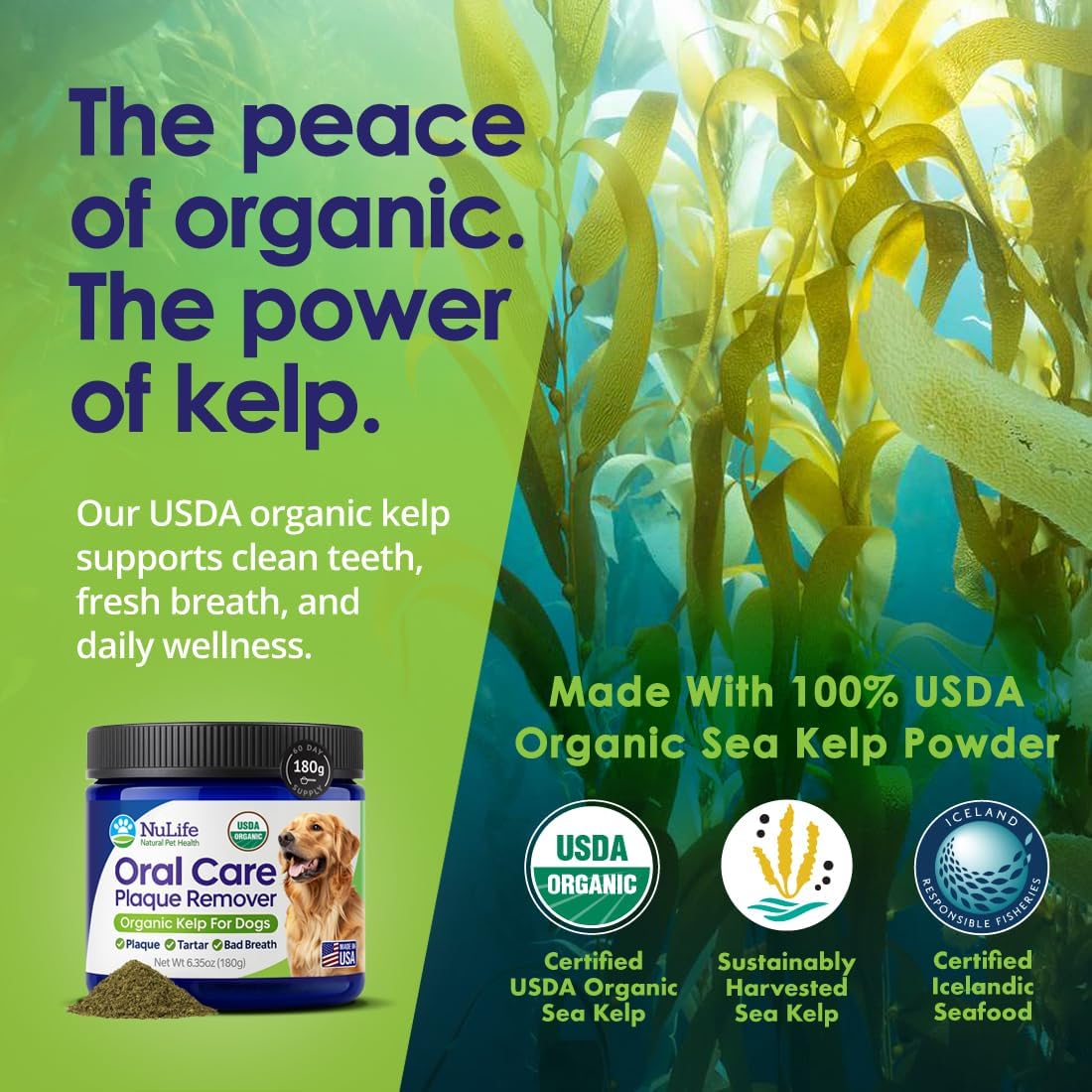 Dog Dental Powder Sea Kelp 12oz Sprinkled on Dog Food - NuLife Natural Pet Health