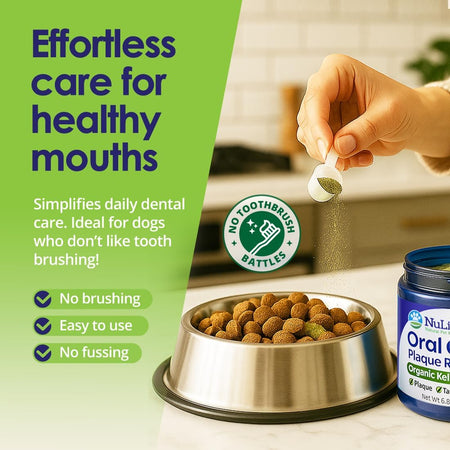 12oz Dog Dental Powder Benefits Freshen Breath Reduce Plaque No Brushing Required