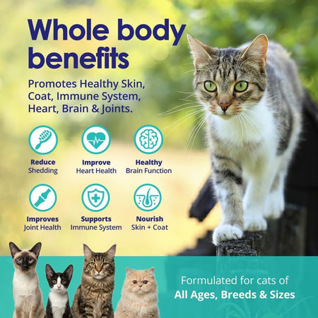 Cat standing outdoors with text about whole body benefits and icons, with four smaller cats at the bottom.