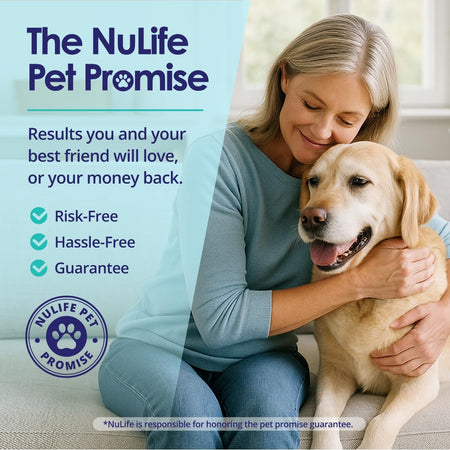 Woman hugging Labrador, representing NuLife's risk-free money-back pet promise