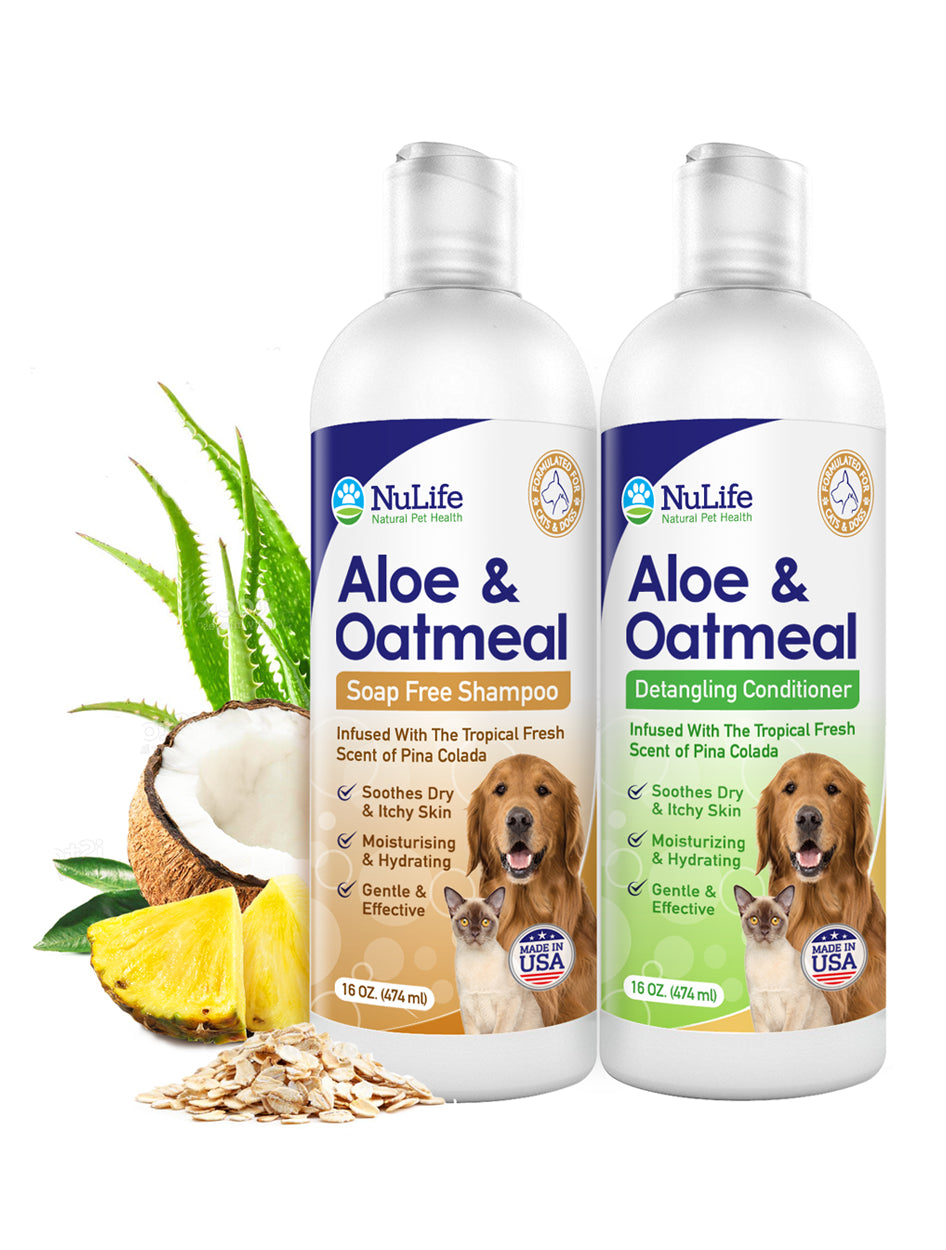Aloe & Oatmeal Shampoo & Conditioner Bundle - Pina Colada - 16oz