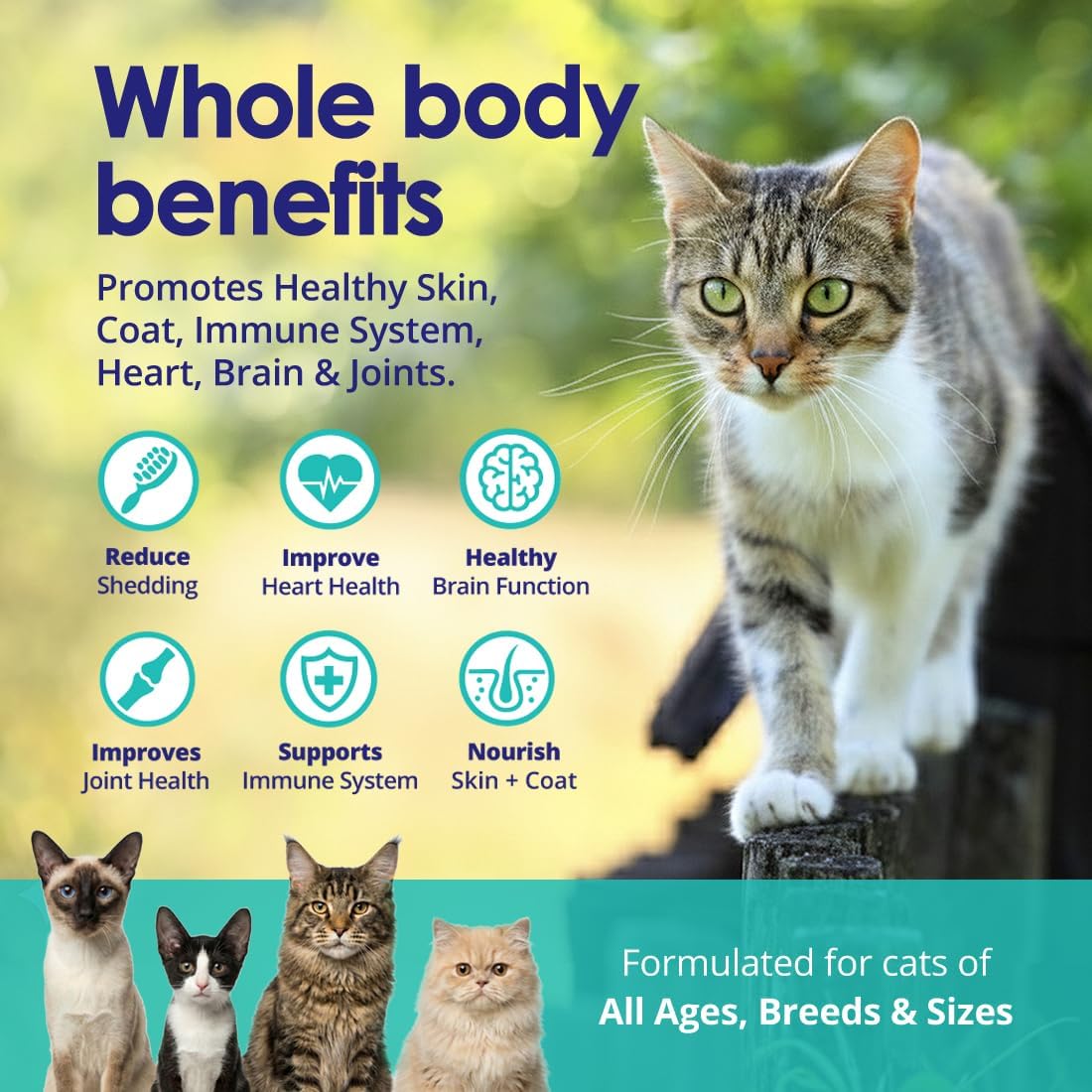 Omega 3 for Cats Ingredients Pure Wild Alaskan Salmon Oil No Additives - NuLife