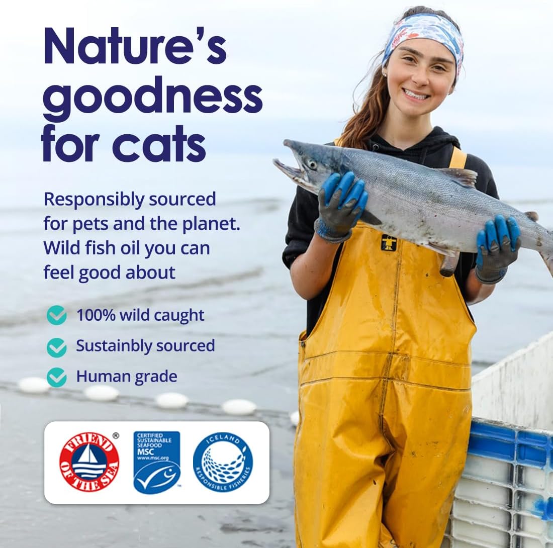 Before and After Cat Coat Condition with Daily Omega 3 Fish Oil - NuLife