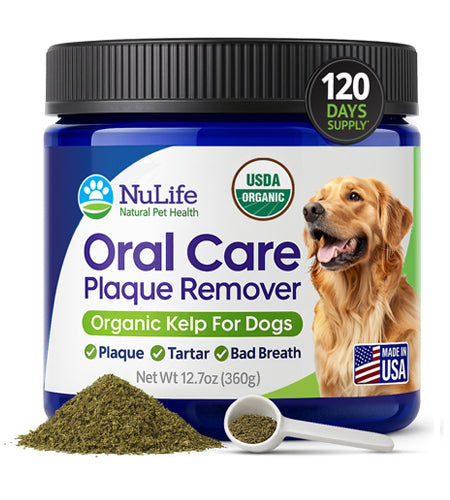 Dental Powder For Dogs - USDA Organic Sea Kelp - 12oz - NuLife Natural Pet Health