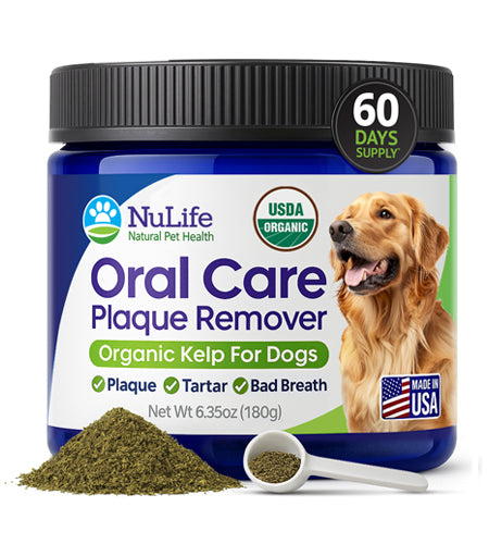 Dental Powder for Dogs USDA Organic Sea Kelp 6oz - NuLife Natural Pet Health