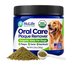 Oral Care