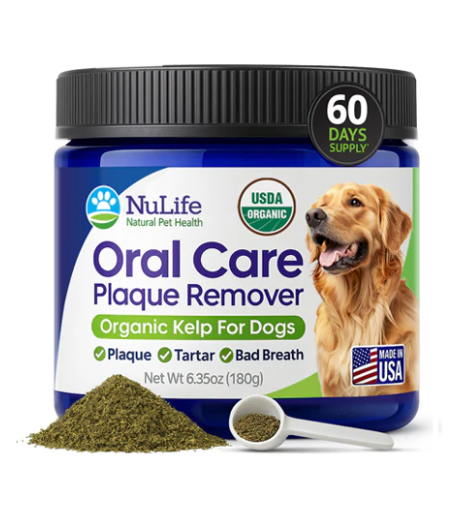 NuLife Oral Care Plaque Remover