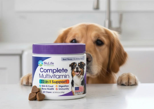NuLife Complete Multivitamin for dogs — 22-in-1 beef flavour chews with golden retriever