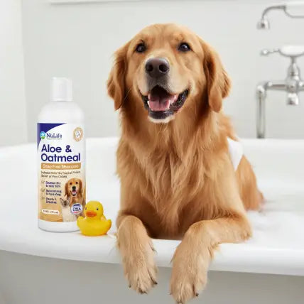 Dog being bathed with NuLife oatmeal shampoo — soap-free gentle lather